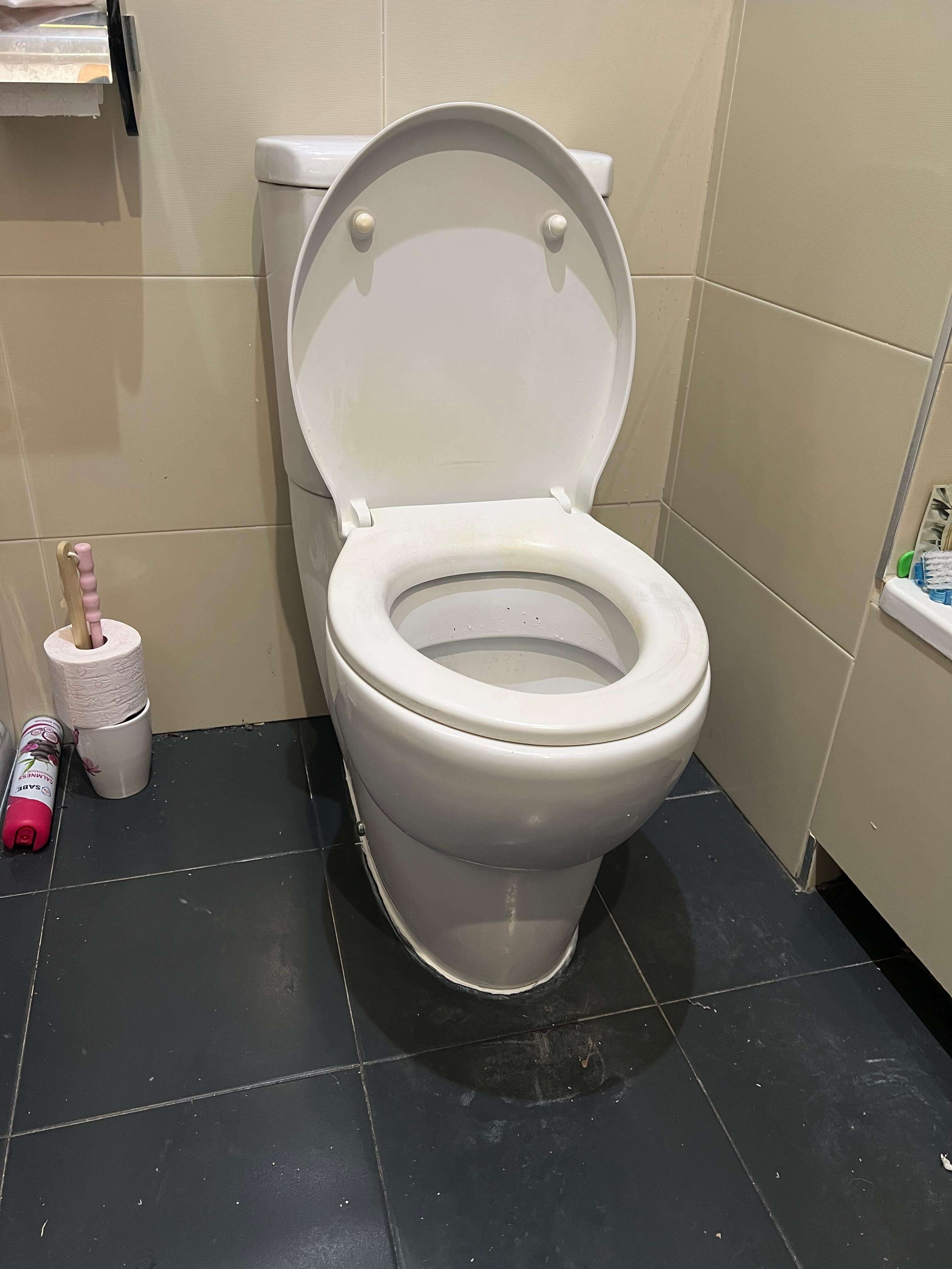 Inodoro reparado sin fuga